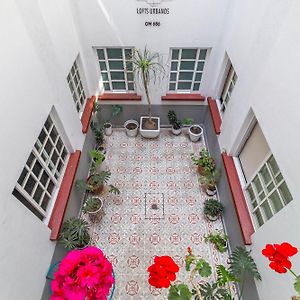 Apartment Terrace